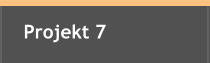 Projekt 7